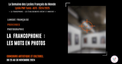 La Francophonie : Concours « Les mots en photos »